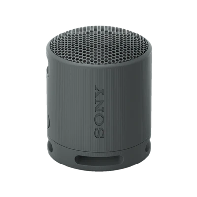 SRS-XB100
