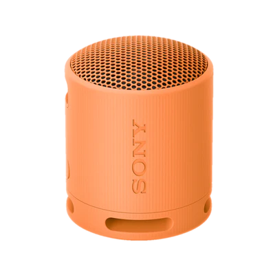 SRS-XB100