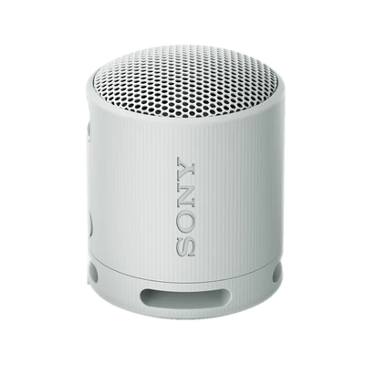 SRS-XB100