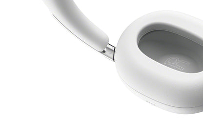 1000X The Collexion (WH-1000XX)