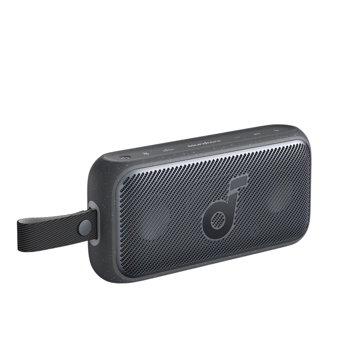 Motion 300 Portable Speaker