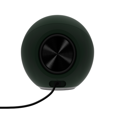 Pebble Pro