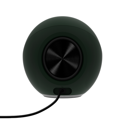 Pebble Pro