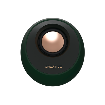 Pebble Pro