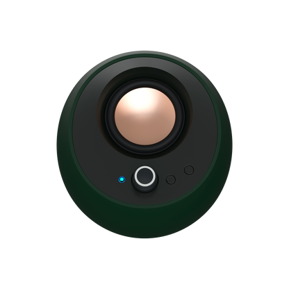 Pebble Pro