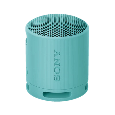 SRS-XB100