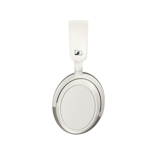Accentum Plus