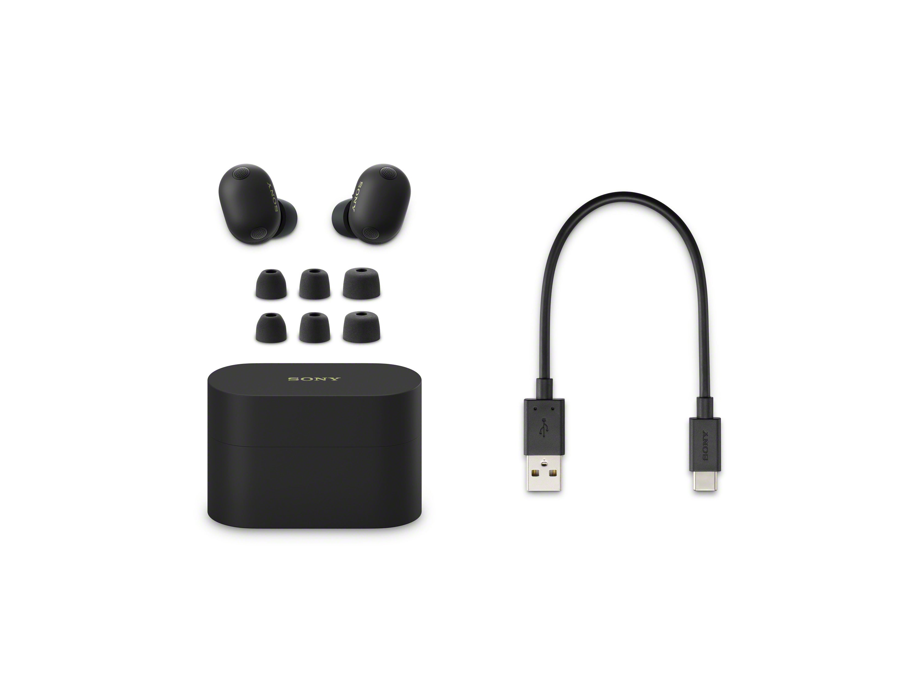 Sony WF-1000XM6 Premium Noise Cancelling True Wireless Earbuds