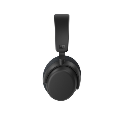 RS 275 TV Headphones