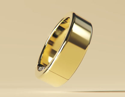 Ring PRO